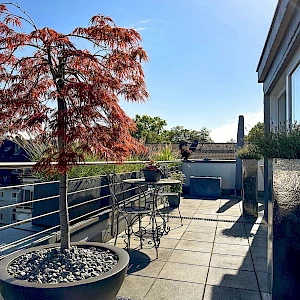 Terrasse 1